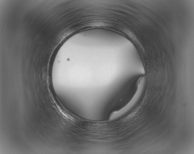 X0000054390845200508270032