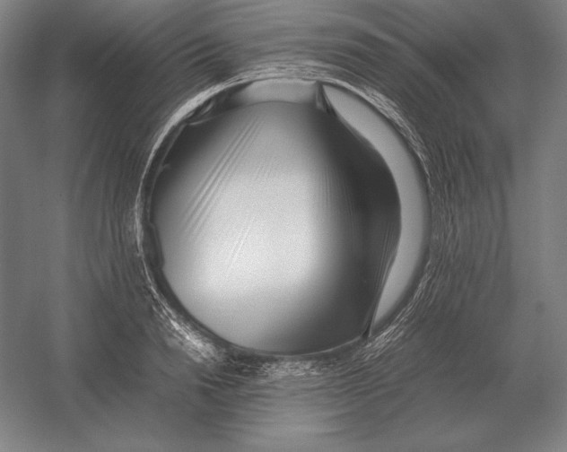 X0000054390846200508270032