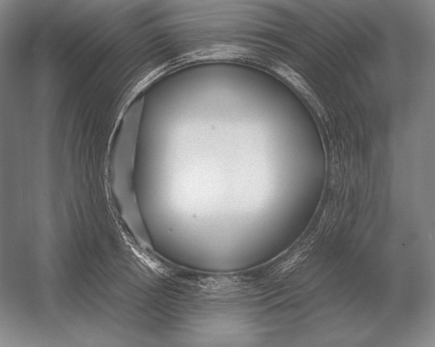 X0000054390850200508270032