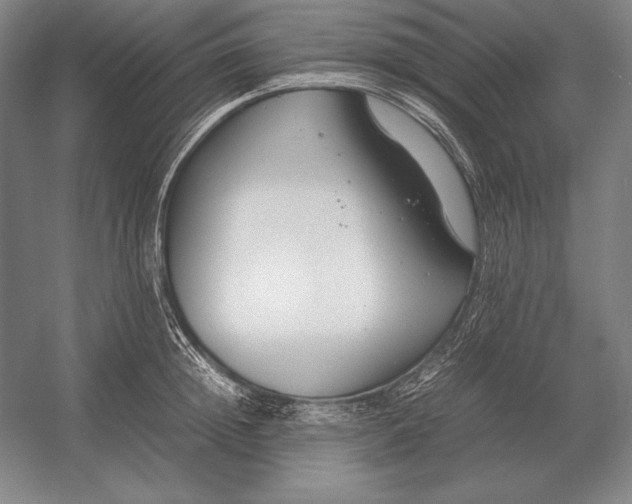X0000054390852200508270032