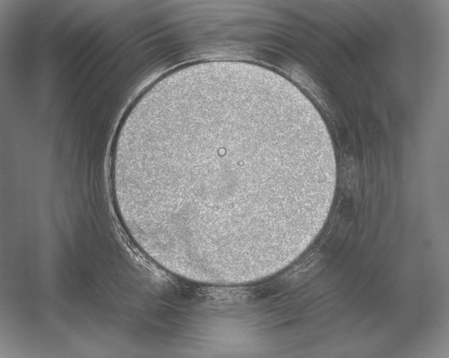 X0000054390856200508270032