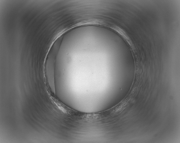 X0000054390858200508270032