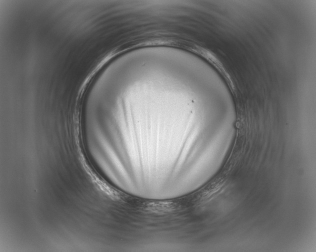 X0000054390859200508270032