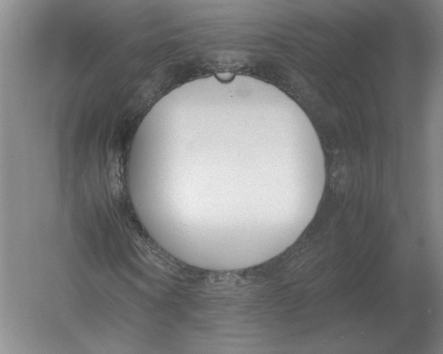 X0000054390866200508270031