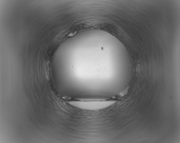 X0000054390868200508270031