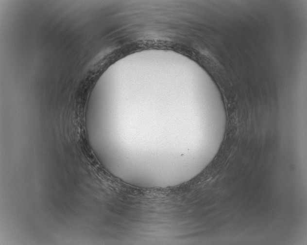 X0000054390870200508270031
