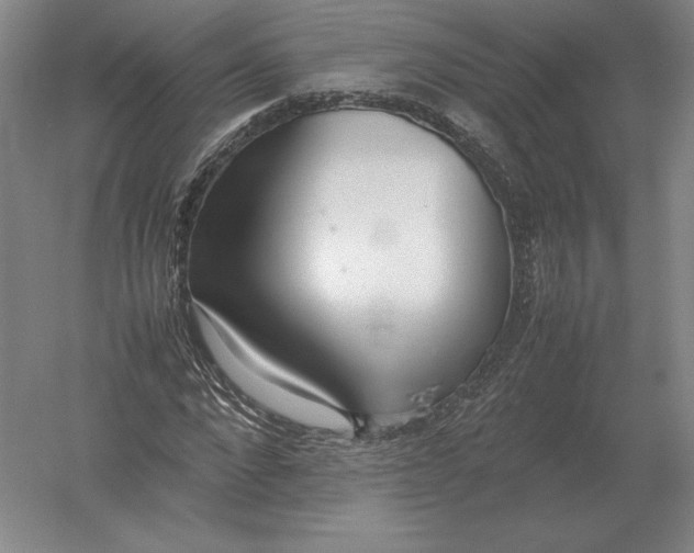 X0000054390872200508270031