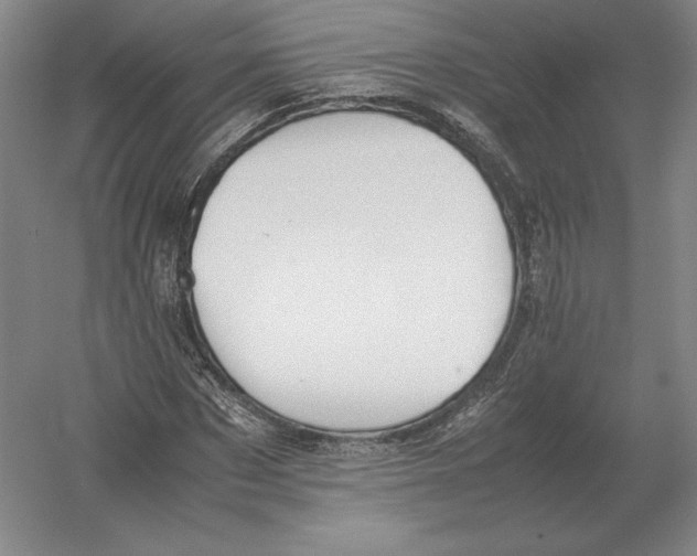 X0000054390873200508270031