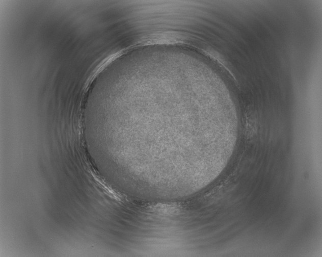 X0000054390874200508270031