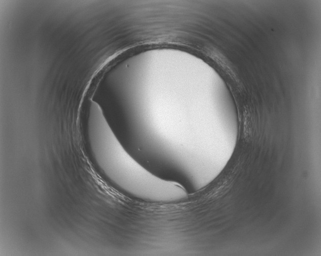 X0000054390876200508270031