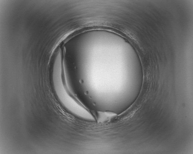 X0000054390877200508270031