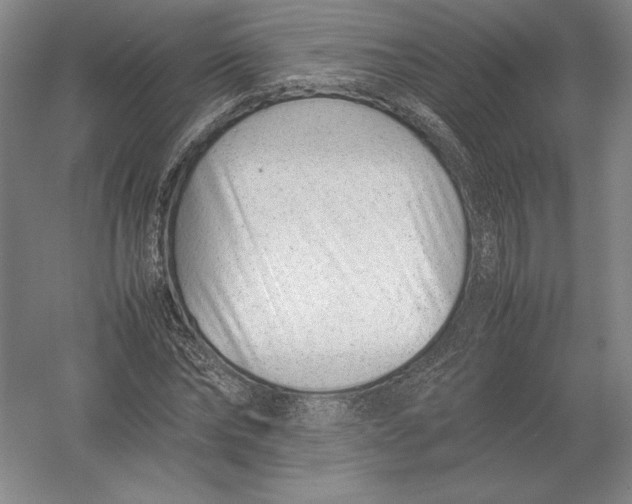 X0000054390878200508270031