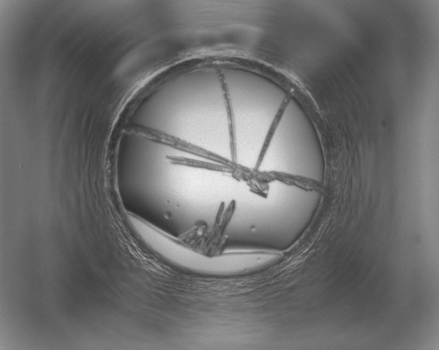 X0000054390879200508270031