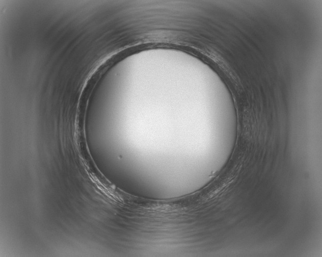 X0000054390880200508270031