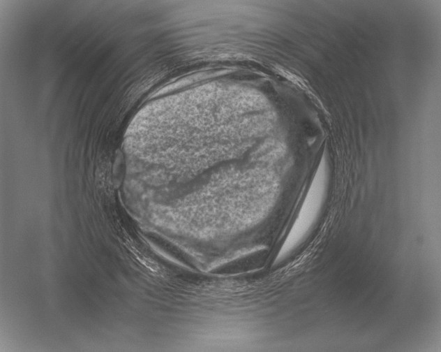 X0000054390881200508270031