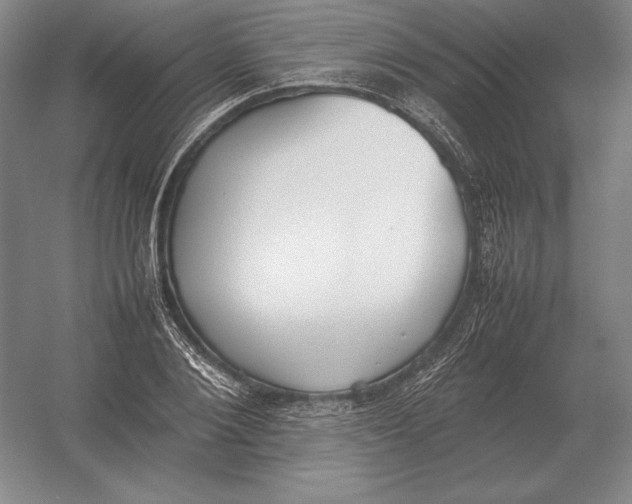 X0000054390884200508270031