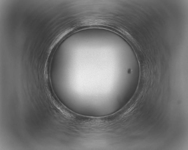 X0000054390885200508270031