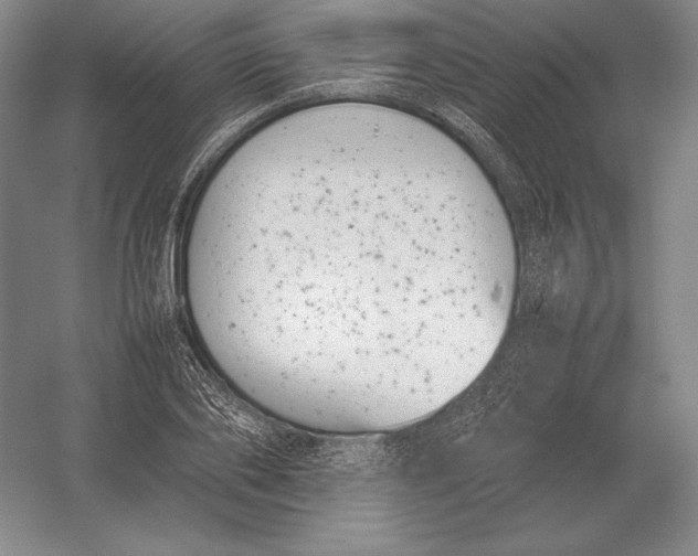 X0000054390886200508270031