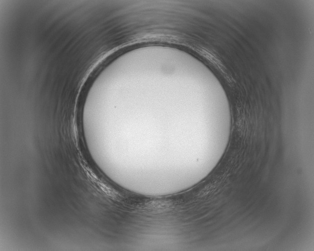 X0000054390888200508270031