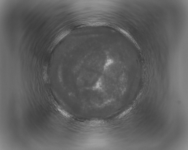 X0000054390889200508270031