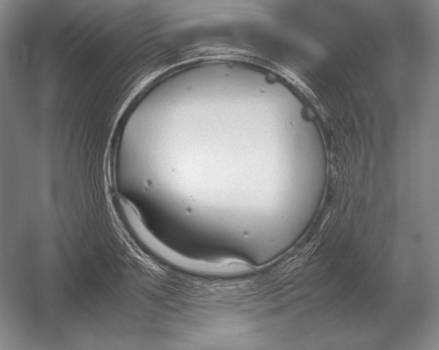 X0000054390891200508270031