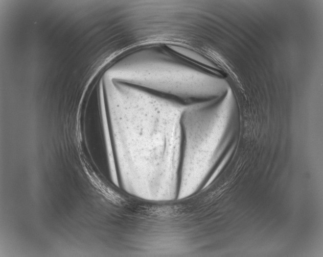 X0000054390892200508270031