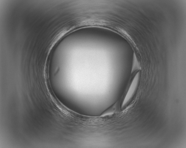 X0000054390893200508270031