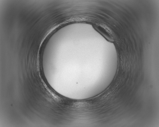 X0000054390894200508270031