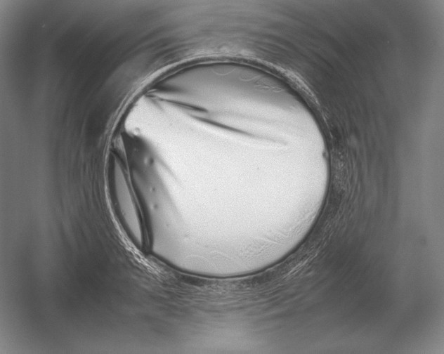 X0000054390895200508270031