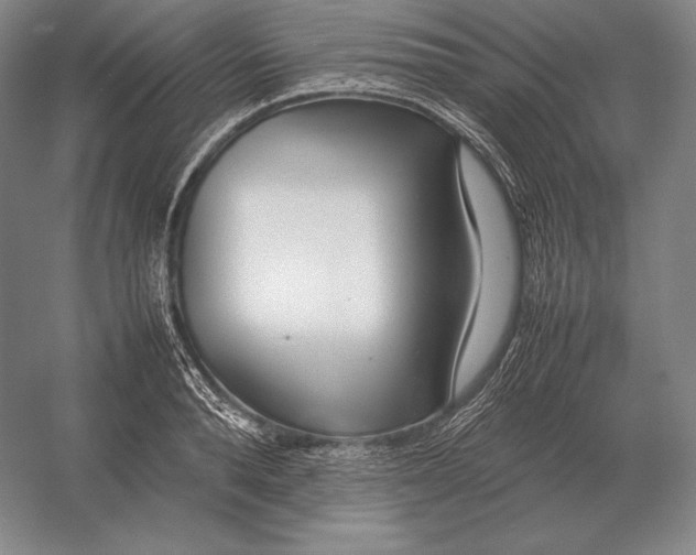 X0000054390896200508270031