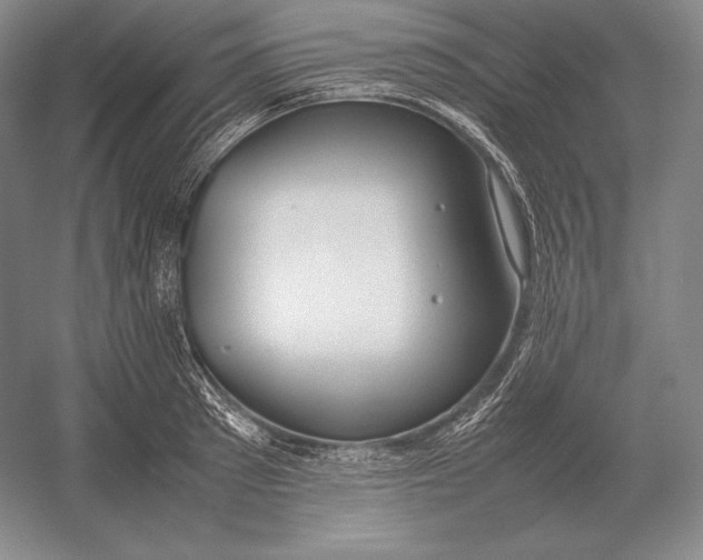 X0000054390897200508270031