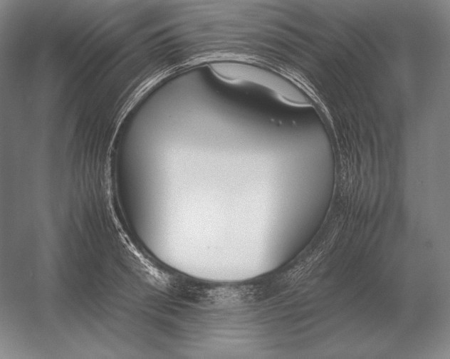 X0000054390898200508270031