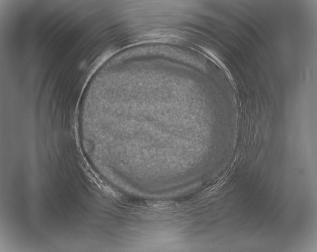 X0000054390899200508270031