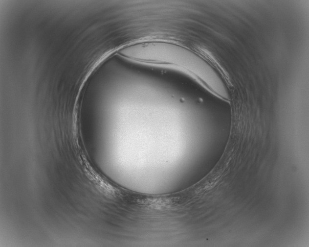 X0000054390900200508270031
