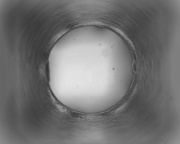 X0000054390905200508270031