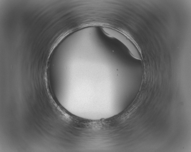 X0000054390906200508270031