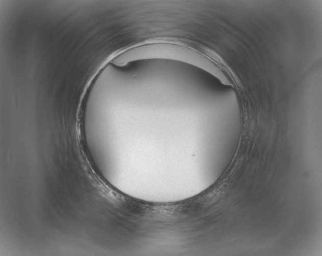 X0000054390908200508270030