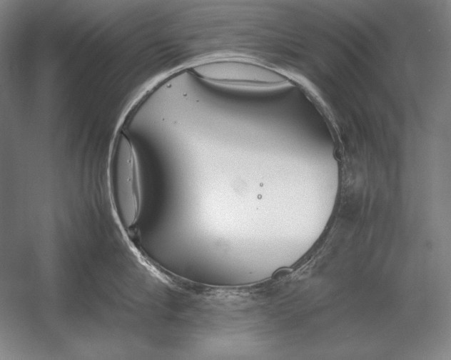 X0000054390910200508270030