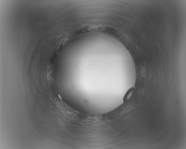 X0000054390914200508270030