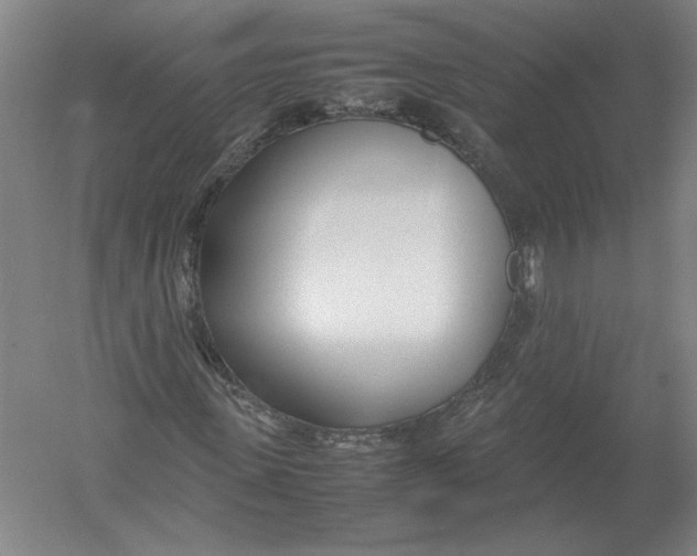 X0000054390915200508270030