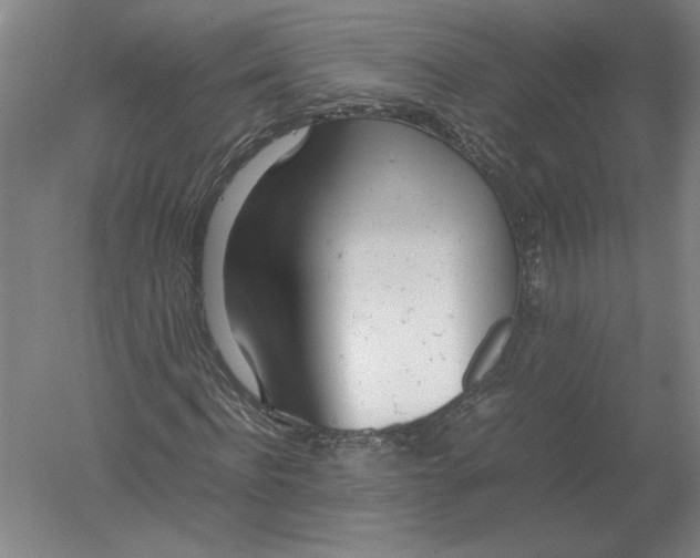 X0000054390916200508270030