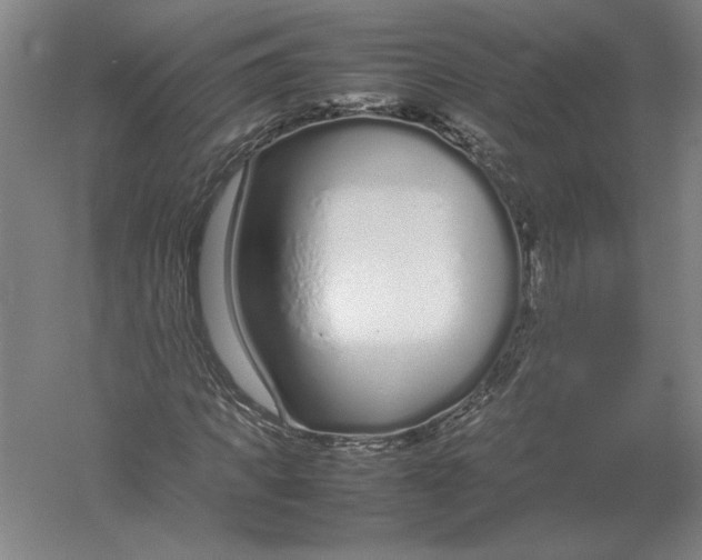 X0000054390917200508270030