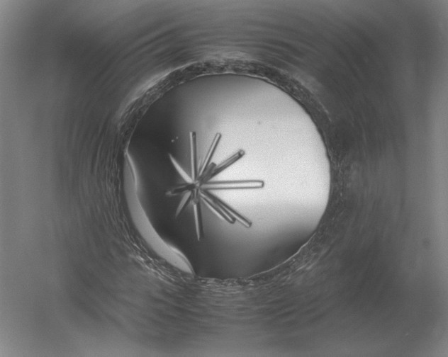 X0000054390919200508270030