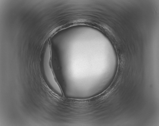 X0000054390921200508270030
