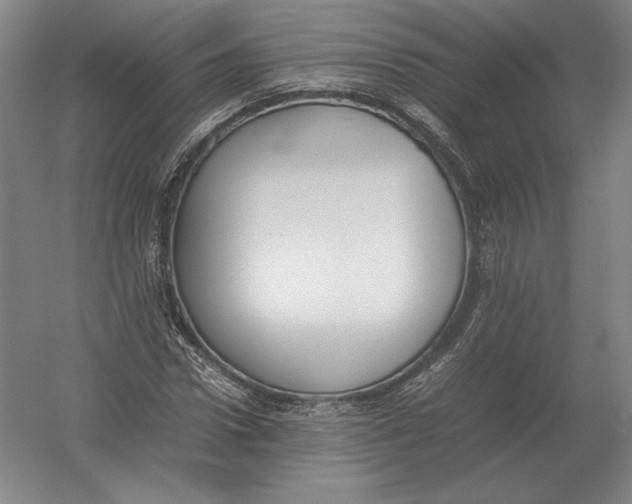 X0000054390922200508270030
