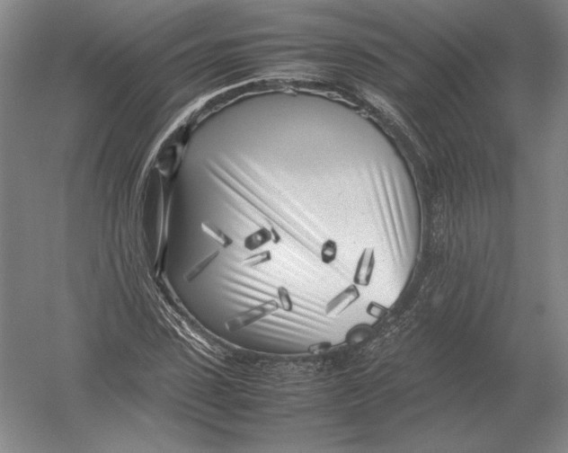 X0000054390923200508270030