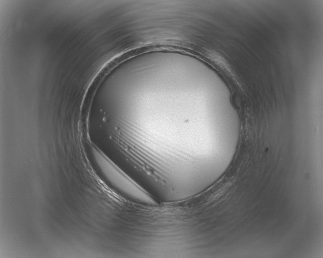X0000054390924200508270030