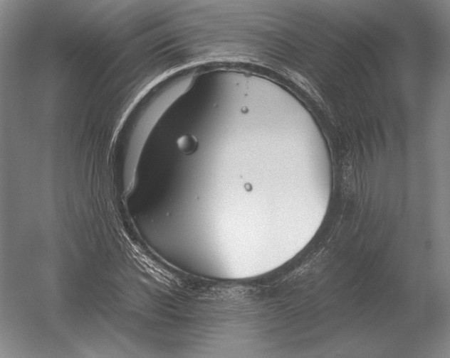 X0000054390926200508270030
