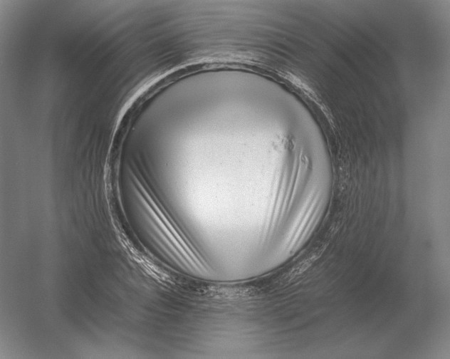 X0000054390928200508270030