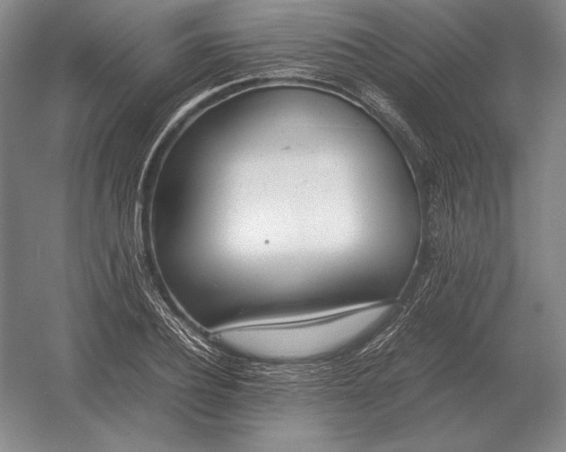 X0000054390932200508270030